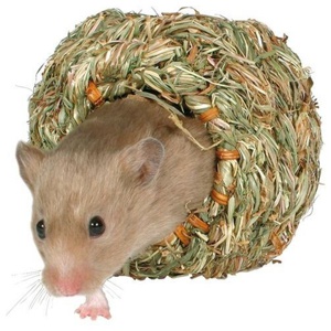 Trixie Hamster Höhus 10 cm produkt bild