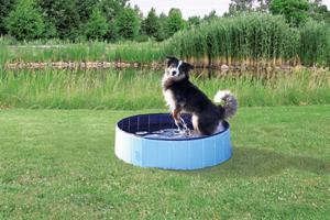 Trixie Hundpool (160 cm) produkt bild