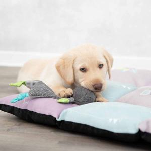 Trixie Junior Bear - ca 28 cm produkt bild