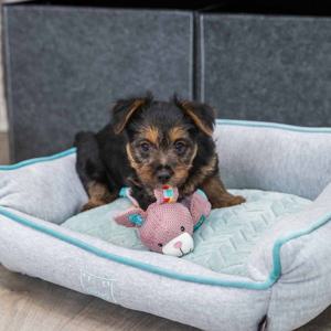 Trixie Junior Bunny - ca 28 cm produkt bild