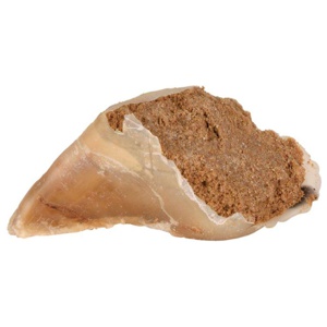 Trixie Kauhuf Fleischpastete Produktbild