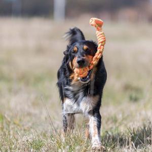 Trixie Hundleksak Repboll 38 cm produkt bild