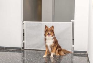 Rullbarriär Hundgrind - Vit produkt bild