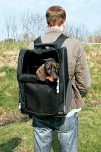 Trixie Tbag Trolley 36 × 45 × 25 produkt bild