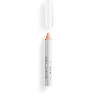 Tromborg Mineral Concealer No 2 Produktbild