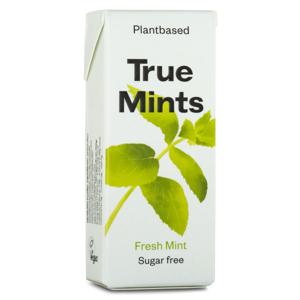 True Gum Mint Fresh Mint 13g produkt bild