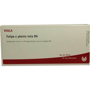 TULIPA e planta tota D 6 Ampullen Produktbild