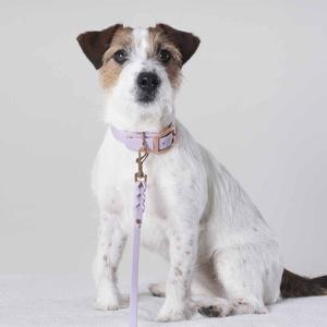 Tyylivoitto Hundkoppel Flätat Lavendel 200 cm (9mm x 200cm) produkt bild