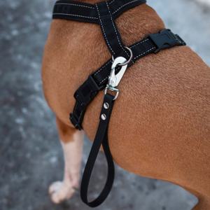 Tyylivoitto Ready Handtag till Sele/Halsband Svart 16 mm x 20 cm produkt bild