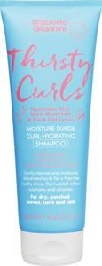 Umberto Giannini Thirsty Curls Shampoo 250 ml produkt bild