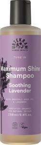 Soothing Lavender Schampo 250 ml produkt bild