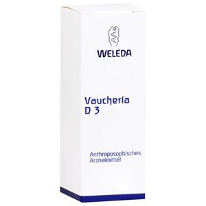 VAUCHERIA D 3 Dilution Produktbild