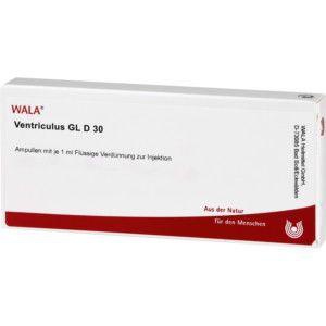 VENTRICULUS GL D 30 Ampullen Produktbild