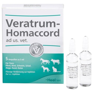 VERATRUM HOMACCORD ad us.vet.Ampullen Produktbild