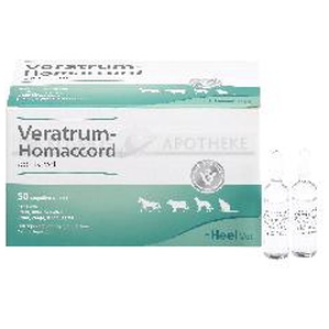 VERATRUM HOMACCORD ad us.vet.Ampullen Produktbild