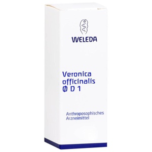 VERONICA OFFICINALIS Urtinktur D 1 Produktbild
