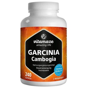 GARCINIA CAMBOGIA+Cholin Kapseln Produktbild