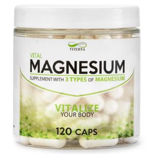 Viterna Magnesium 120 caps produkt bild