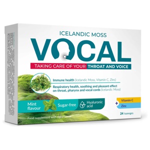 Vocal Mint hüaluroonhappega imemistabletid N24 toote pilt