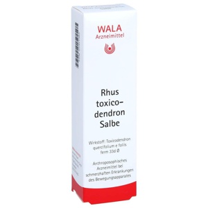 WALA Rhus toxicodendron Salbe 30 g Salbe Produktbild