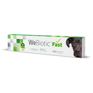 Wepharm WeBiotic Fast Oral Pasta (12-36 kg) 30 ml produkt bild