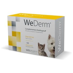 WeDerm 60 kapslar produkt bild