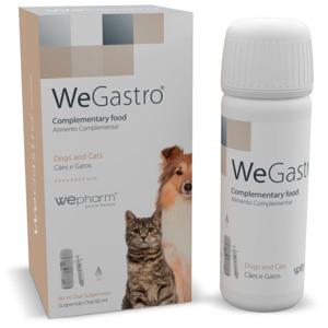 WeGastro oral suspension 60 ml produkt bild