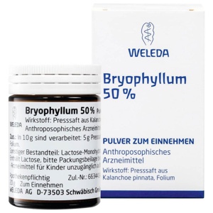 BRYOPHYLLUM 50% Pulver zum Einnehmen Produktbild