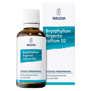 BRYOPHYLLUM ARGENTO cultum D 2 Dilution Produktbild