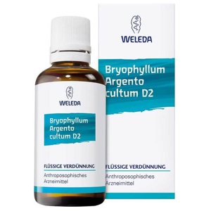 BRYOPHYLLUM ARGENTO cultum D 3 Dilution Produktbild
