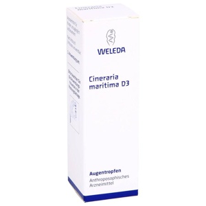 CINERARIA maritima D 3 Augentropfen Produktbild