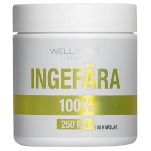 WellAware Ingefära Kapslar 100 st produkt bild