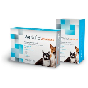 Wepharm WeNefro Advanced tabletter 30 st produkt bild