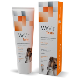 WeVit Tasty energipasta 100 g produkt bild