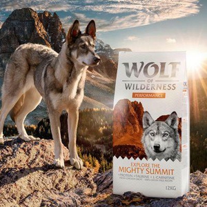 Wolf of Wilderness "Explore The Mighty Summit" - Performance Produktbild