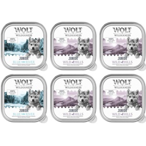 Wolf of Wilderness JUNIOR - Duo-Protein Rezeptur 6 x/24 x 150 g Schale Produktbild