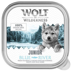 Wolf of Wilderness JUNIOR - Duo-Protein Rezeptur 6 x/24 x 150 g Schale Produktbild