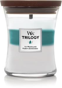 WoodWick Trilogy Icy Woodland Medium produkt bild