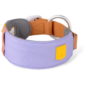 Woolly Wolf Alpha 360 Hundhalsband Ljuslila/Brun (XL) produkt bild
