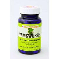 YAMSWURZEL 500 mg GPH Kapseln Produktbild