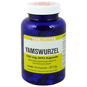 YAMSWURZEL 500 mg GPH Kapseln Produktbild