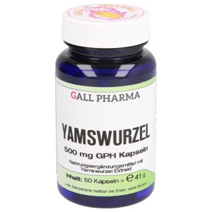 YAMSWURZEL 500 mg GPH Kapseln Produktbild