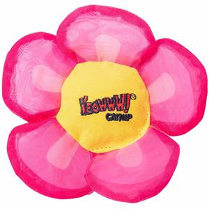 Yeowww! Kattmynta Blomma produkt bild