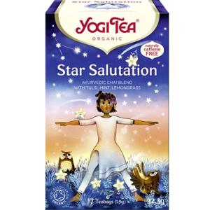 YogiTea Te Star Salutation 17 påsar produkt bild