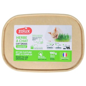 Zolux Katzengras Produktbild